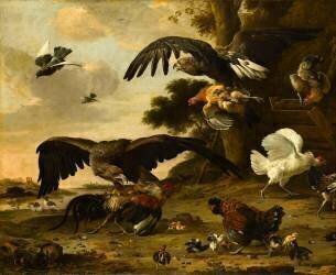 Aigles attaquant des poules (Melchior de Hondecoeter) - Muzeo.com