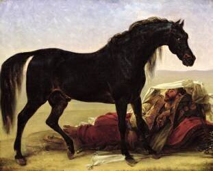 An Arabian Horse (Antoine-Jean Gros) - Muzeo.com