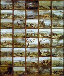 Animals Table showing compartments corresponding to different animal species (Jan van Kessel) - Muzeo.com