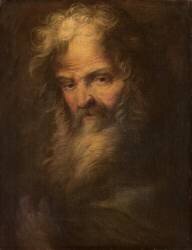 Bearded prophet (Salvator Rosa) - Muzeo.com