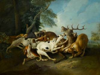 Cerf aux abois (Alexandre-François Desportes) - Muzeo.com