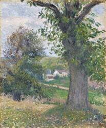 Chestnut trees in Osny (Camille Pissarro) - Muzeo.com