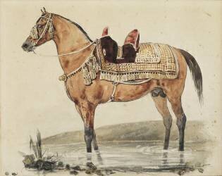 Cheval arabe de profil vers la gauche (Théodore Géricault) - Muzeo.com