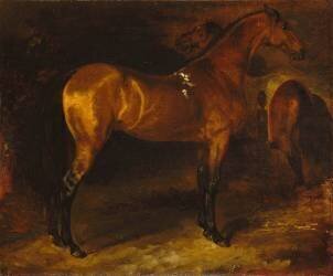 Cheval espagnol dans une écurie (Théodore Géricault) - Muzeo.com