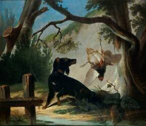 Chien en arrêt sur une perdrix morte (Jean-Baptiste Oudry) - Muzeo.com