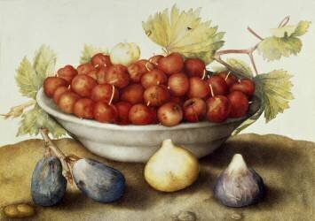 Coupe avec des cerises et des figues (Giovanna Garzoni) - Muzeo.com