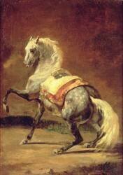 Dappled Grey Horse (Théodore Géricault) - Muzeo.com