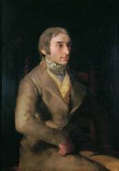 Don Manuel Silvela (Francisco de Goya) - Muzeo.com