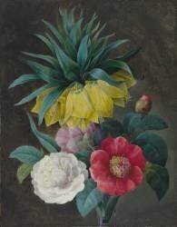 Four Peonies and a Crown Imperial (Pierre Joseph Redouté) - Muzeo.com