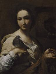 Girl Holding a Dove (Giuseppe Maria Crespi) - Muzeo.com