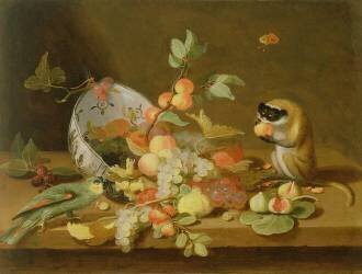 Grapes and Peaches Spilling from an Overturned Delft Bowl (Jan van Kessel) - Muzeo.com