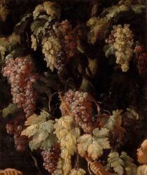 Grappes de raisins autour d'un tronc d'arbre (Giovanni Battista Ruoppolo) - Muzeo.com
