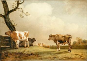 La prairie (Paulus Potter) - Muzeo.com