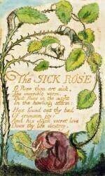 La rose malade (The sick rose) (William Blake) - Muzeo.com