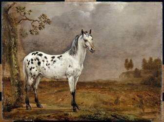 Le Cheval pie (Paulus Potter) - Muzeo.com