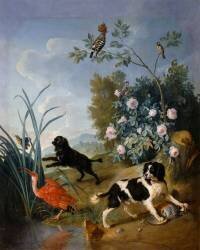 Les Chiens Zerbine et Jemite (Alexandre-François Desportes) - Muzeo.com