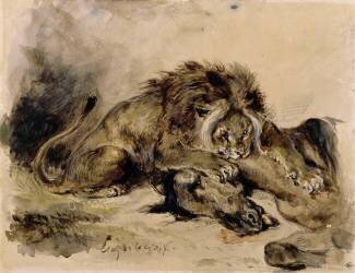 Lion dévorant un cheval (Eugène Delacroix) - Muzeo.com