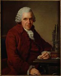 Portrait de Daubenton (1716-1799) (Alexandre Roslin) - Muzeo.com