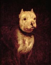 Portrait of a bulldog (Théodore Géricault) - Muzeo.com