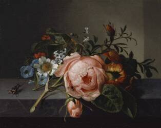 Still Life with Rose Branch, Beetle and Bee (Rachel Ruysch) - Muzeo.com