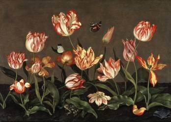 Still Life with Tulips (Johannes Bosschaert) - Muzeo.com