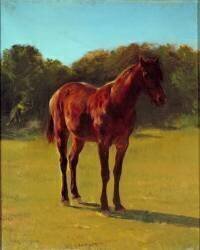 Study of horse bai cherry (Rosa Bonheur) - Muzeo.com