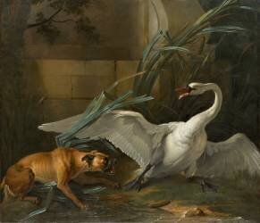 Swan Attacked by a Dog (Jean-Baptiste Oudry) - Muzeo.com