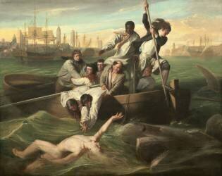 Watson and the Shark (John Singleton Copley) - Muzeo.com
