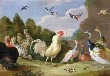 Wooded Landscape with a Cock (Jan van Kessel) - Muzeo.com