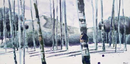 Bouleaux Algonquins (Pascal Langevin) - Muzeo.com
