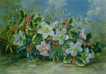 Christmas Roses and Holly (Albert Williams) - Muzeo.com