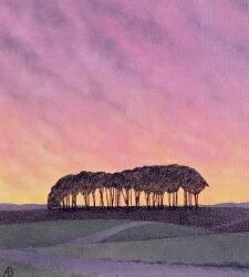 Distant Pines (Ann Brain) - Muzeo.com