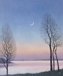 Dusk at Draycote (Ann Brain) - Muzeo.com