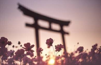 Melancholic autumn (Koji Tajima) - Muzeo.com