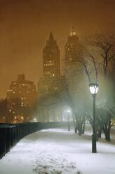 New York Nocturne (Max Ferguson) - Muzeo.com