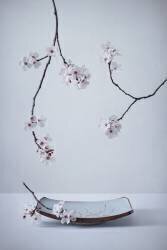 The First Cherry Blossom (Inna Karpova) - Muzeo.com