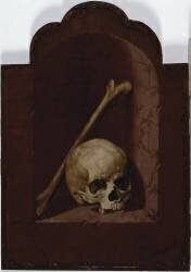 Crâne et fémur humain dans une niche (Bartholomaeus Bruyn the Elder) - Muzeo.com