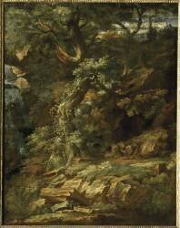 Intérieur de forêt (Romulo Panfi) - Muzeo.com
