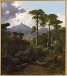 La forêt de Valdoniello (Jean-Luc Multedo) - Muzeo.com