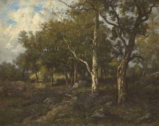 Les gorges d'Apremont (Léon Richet) - Muzeo.com