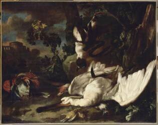 Nature morte de gibier (Franz Werner von Tamm) - Muzeo.com