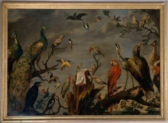Oiseaux chantant avec une partition ou concert d'oiseaux (Frans Snyders) - Muzeo.com