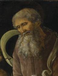Saint Jérôme et le lion (détail) (Liberale da Verona) - Muzeo.com