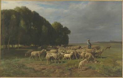 Troupeau de moutons dans un paysage dit aussi Berger conduisant un troupeau de moutons en plaine (Charles Jacque) - Muzeo.com
