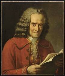 Voltaire lisant l'Année Littéraire de Fréron (Jacques-Augustin-Catherine...) - Muzeo.com