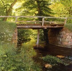 A Forest Stream with a wooden Bridge (Marcus Bech Fritz) - Muzeo.com