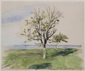 A Honfleur, jardin avec deux arbres fruitiers, au bord de la mer (Johan Barthold Jongkind) - Muzeo.com