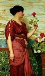 A red rose (John William Godward) - Muzeo.com