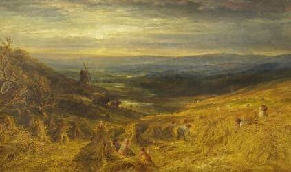 A Surrey Cornfield (George Lucas) - Muzeo.com