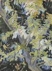 Acacia in Flower (Vincent van Gogh) - Muzeo.com